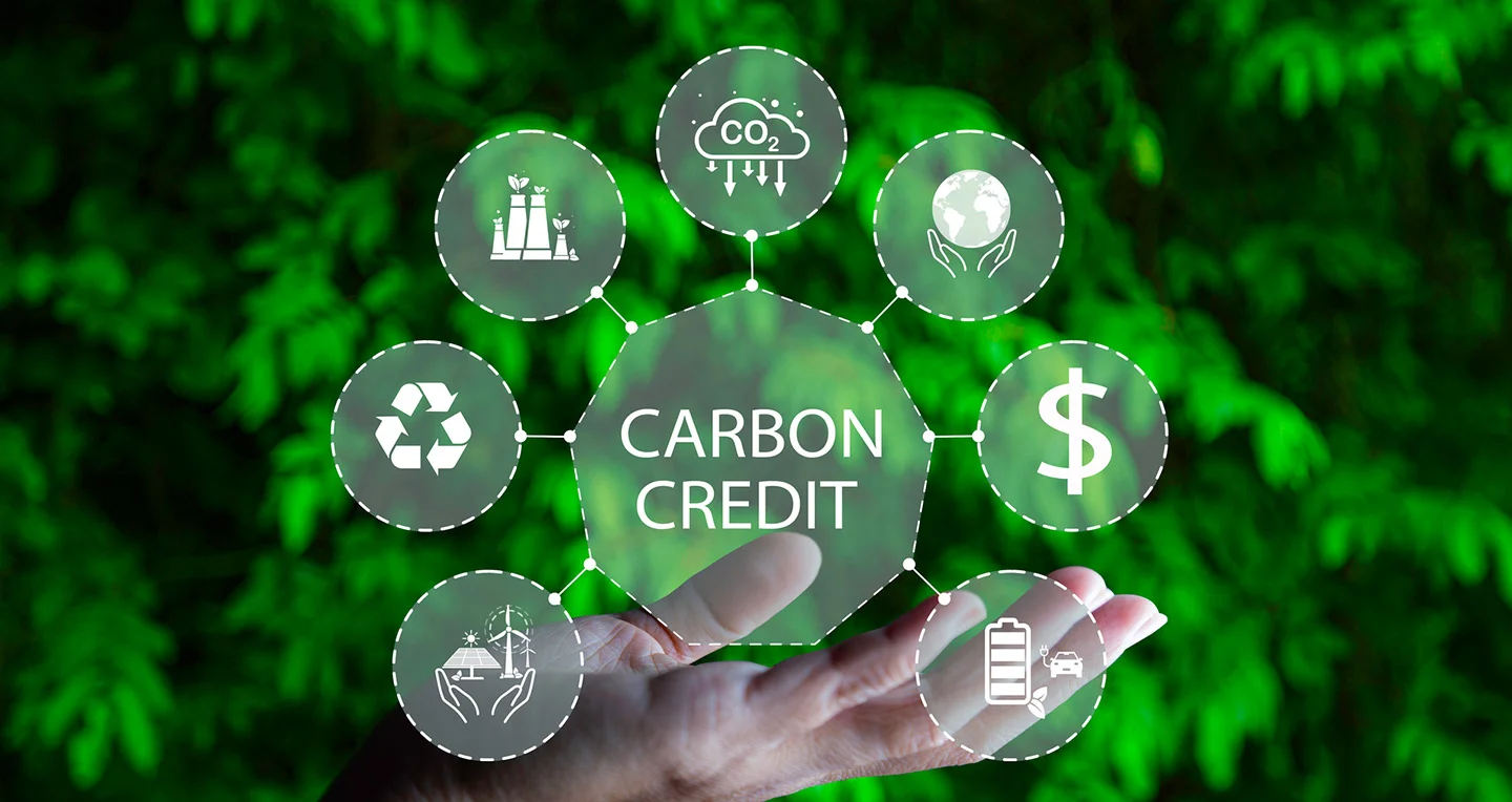 Capgemini Moves Toward Permanent Carbon Removal in Deal with Charm